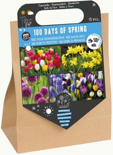 100 Tage Frühling - 45 Blumenzwiebeln