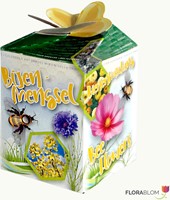 Ecogeschenke Bienen Mischung 40 Stück in Versandkiste-2