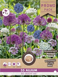 Allium Bee Delight Mix - Riesenlauch