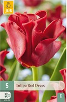 Tulpen Red Dress – Tulipa coronet