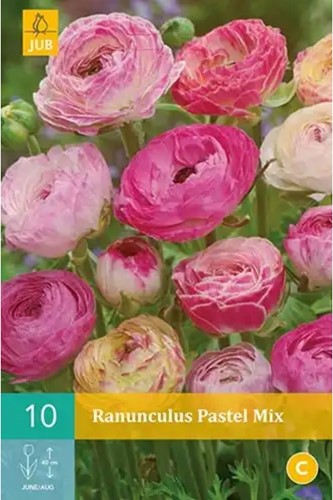 Ranunkel Pastel Mischung - Ranunculus-2