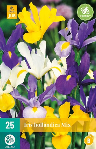 Iris Hollandica Mischung kaufen? Schnelle Lieferung und günstige Preise