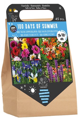 100 tagen Sommerblumen - Blumenzwiebeln