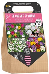 Fragrant Flowers Bag - Blumenzwiebeln