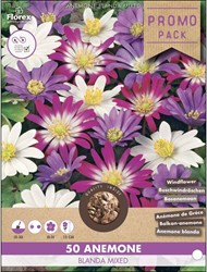 Anemone blanda mixed - 50 Balkan-Windröschen (Promo Pack)