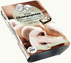 Kweekset Witte Champignons