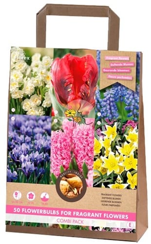 Duftend Blumen Paket