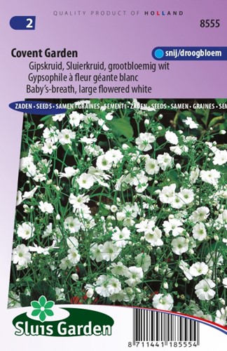 Gipskraut Covent Garden - Gypsophila