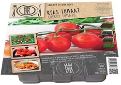 Treibhaus Kirschtomate