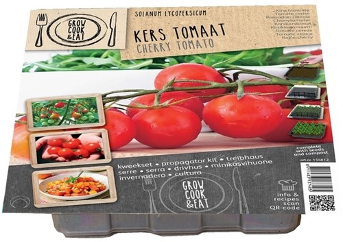 Treibhaus Kirschtomate