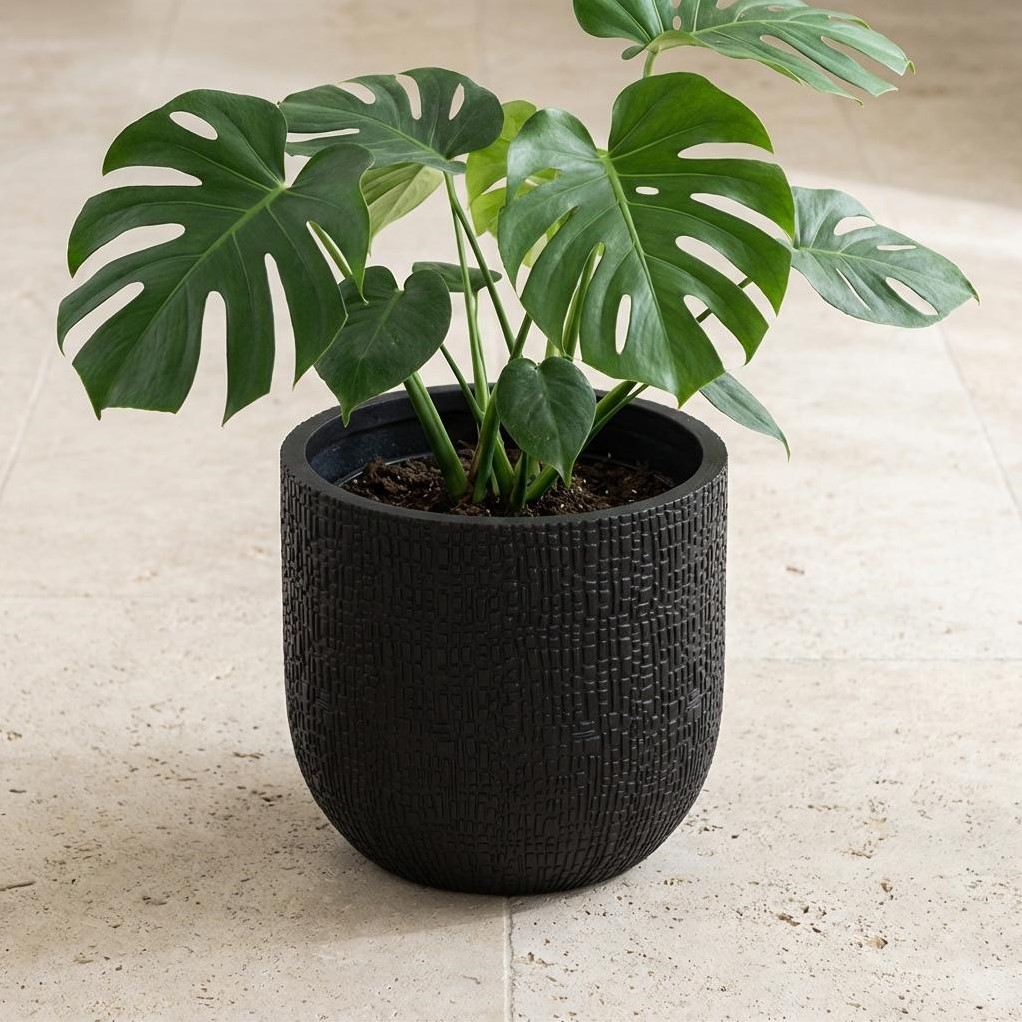 Blumentopf Capi Nature Skin 14cm - 13cm kaufen? Schnelle Lieferung und  gnstige Preise bei Blumenzwiebelnversand.de