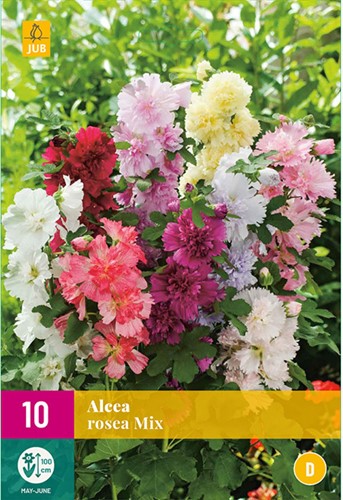 Alcea Rosea Mix - Stockrose