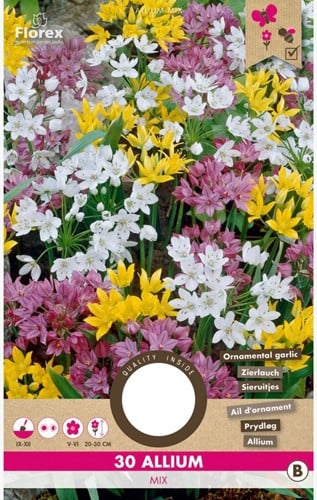 Alliums Mischung