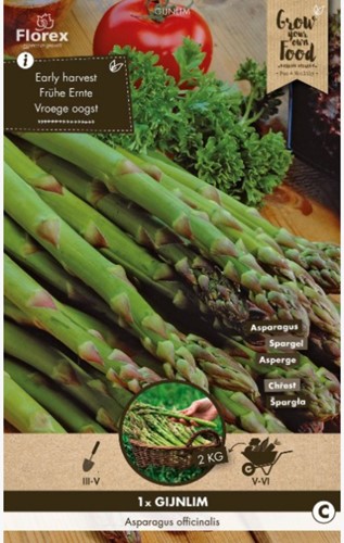 Grüner Spargel