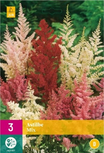 Astilbe Mischung - Prachtspieren