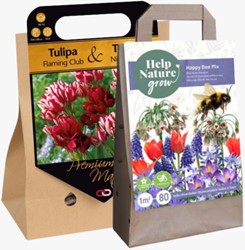 2x Blumenzwiebeln Geschenken Surprise pack 2