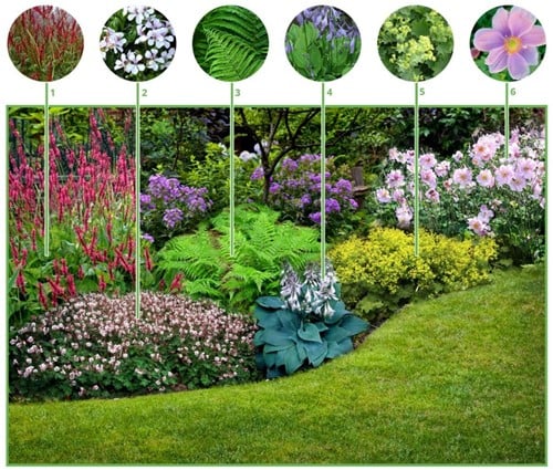 Borderpakket Schaduwtuin (12 planten: 2m2)