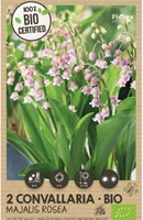 Convallaria Majalis Rosea - Maiglöckchen 100% BIO-2