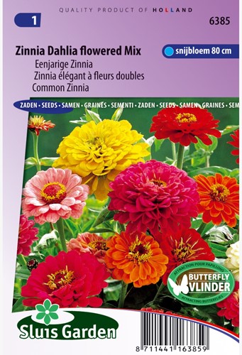 Zinnie Dahlien flowered Mix