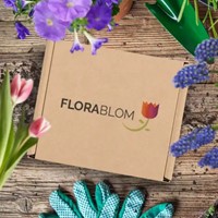 Ecogeschenke Bienen Mischung 40 Stück in Versandkiste-3