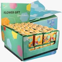 Buzzy Flower Gift (Display 48x) Insecten bloemen mix