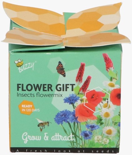 Buzzy Flower Gift (Display 48x) Insecten bloemen mix-2