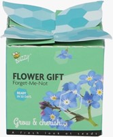 Buzzy Flower Gift Vergissmeinnicht - Myosotis. Display mit 48 Stück-3