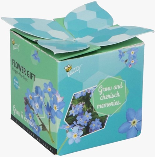 Buzzy Flower Gift Vergissmeinnicht - Myosotis. Display mit 48 Stück-2