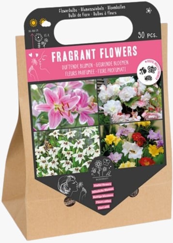 Fragrant Flowers Bag - Blumenzwiebeln