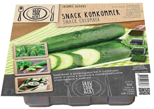 Treibhaus Snackgurke