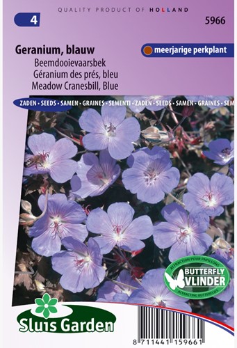 Gartengeranien blau - Geranium
