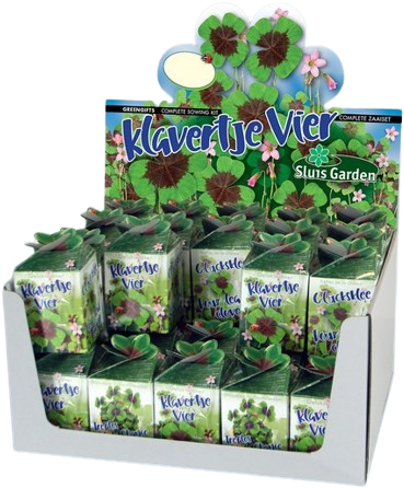 Greengift Klavertje-vier 40 stuks in showdoos