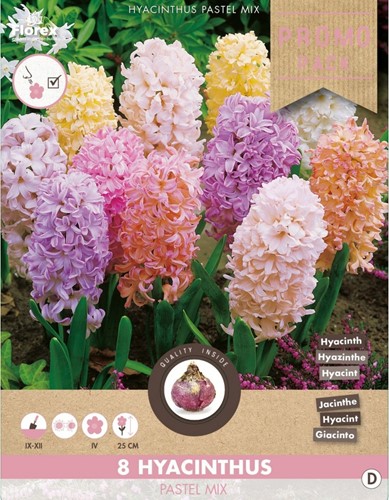 Hyazinten Pastel Mischung - Hyacinthus