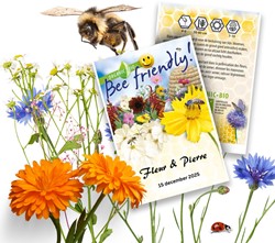 Personalisierte Werbegeschenke Samen Pakete Schmetterlings Blumenwiese 20 stück