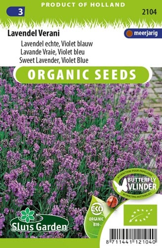 Lavendel Echter, Violett blau, Verani EKO