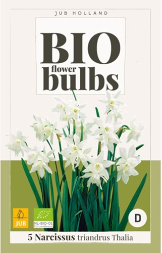 Narcissus Thalia – Narzissen BIO