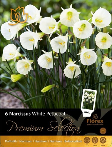 Narzisse White Petticoat