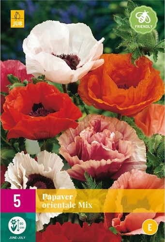 Papaver orientalis Mix - Garten-Mohn-2