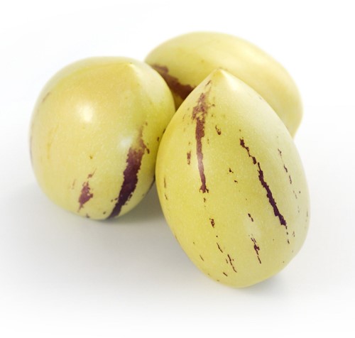 Pepino, Melonenbirne – Solanum muricatum