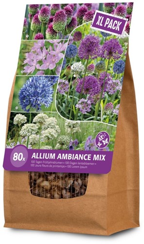 Allium Ambiance XXL - Sierui