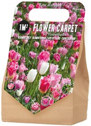 Blumenzwiebelpaket 1 m² Fata Morgana – 50 Blumenzwiebeln