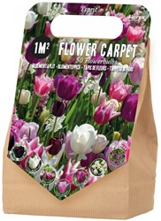 Blumenzwiebelpaket 1 m² Esprit – 50 Blumenzwiebeln