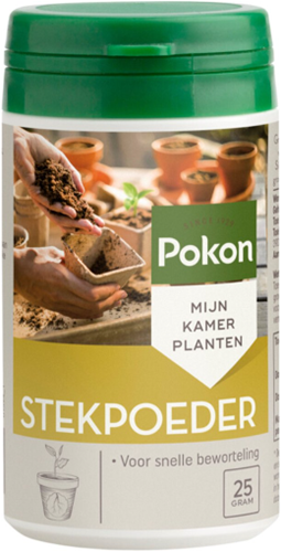 Stecklingspuder - Pokon