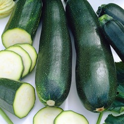 Courgette Black Beauty EKO