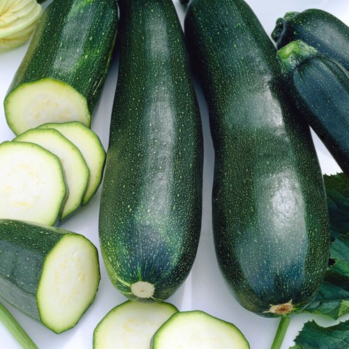 Courgette Black Beauty EKO