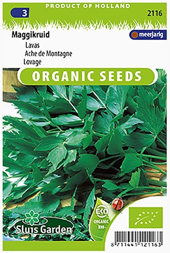 Lavas Maggiplant EKO - Levisticum officinalis-2