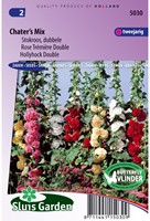 Stockrose Chaters Double - Alcea rosea-2