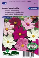 Kosmee - Cosmos-2