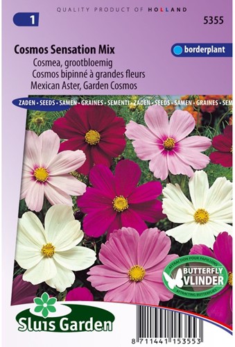 Kosmee - Cosmos-2