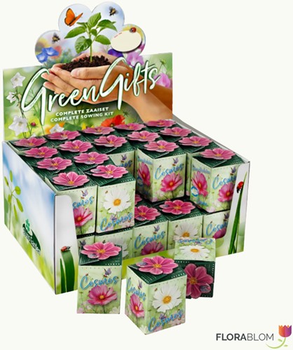 Ecogeschenke Cosmos Mix 40 Stück in Versandkiste